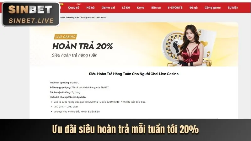Hoàn trả cược thua không giới hạn Kinh88 hàng tuần